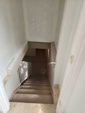 Carpeted staircase with white metal railing descending to a lower level