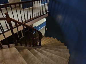 Carpeted staircase with dark wood-finish handrail and balusters, featuring a deep blue accent wall