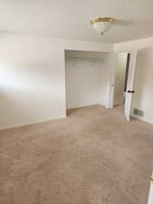 Carpeted interior space with a built-in closet featuring shelving and a hanging rod, a white interior door with black hardware, and a ceiling-mounted light fixture