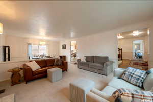 Carpeted living area with white walls and crown molding