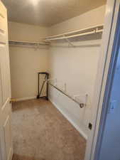 Spacious walk-in closet featuring light beige carpeting, white baseboards, and built-in white shelving with clothing rods