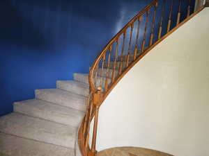 Curved staircase featuring a wood balustrade, carpeted treads, and a tiled floor landing