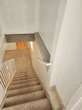 Carpeted stairway with a white metal railing and a wall-mounted handrail, leading to a lower level with tiled flooring