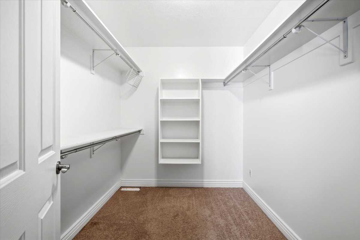 Walk-in closet featuring built-in shelving, two hanging rods, a wire basket, and plush carpet flooring