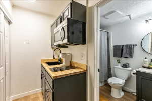 Compact kitchen area featuring a wood-finish countertop, dark cabinetry, and an integrated two-burner cooktop