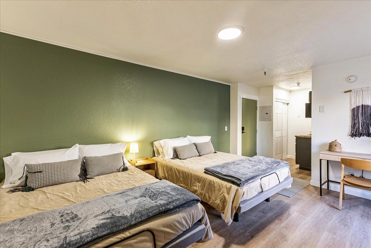Studio space featuring a deep olive accent wall and wood-finish flooring