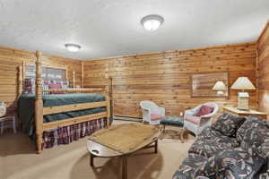 walkout, daylight basement
