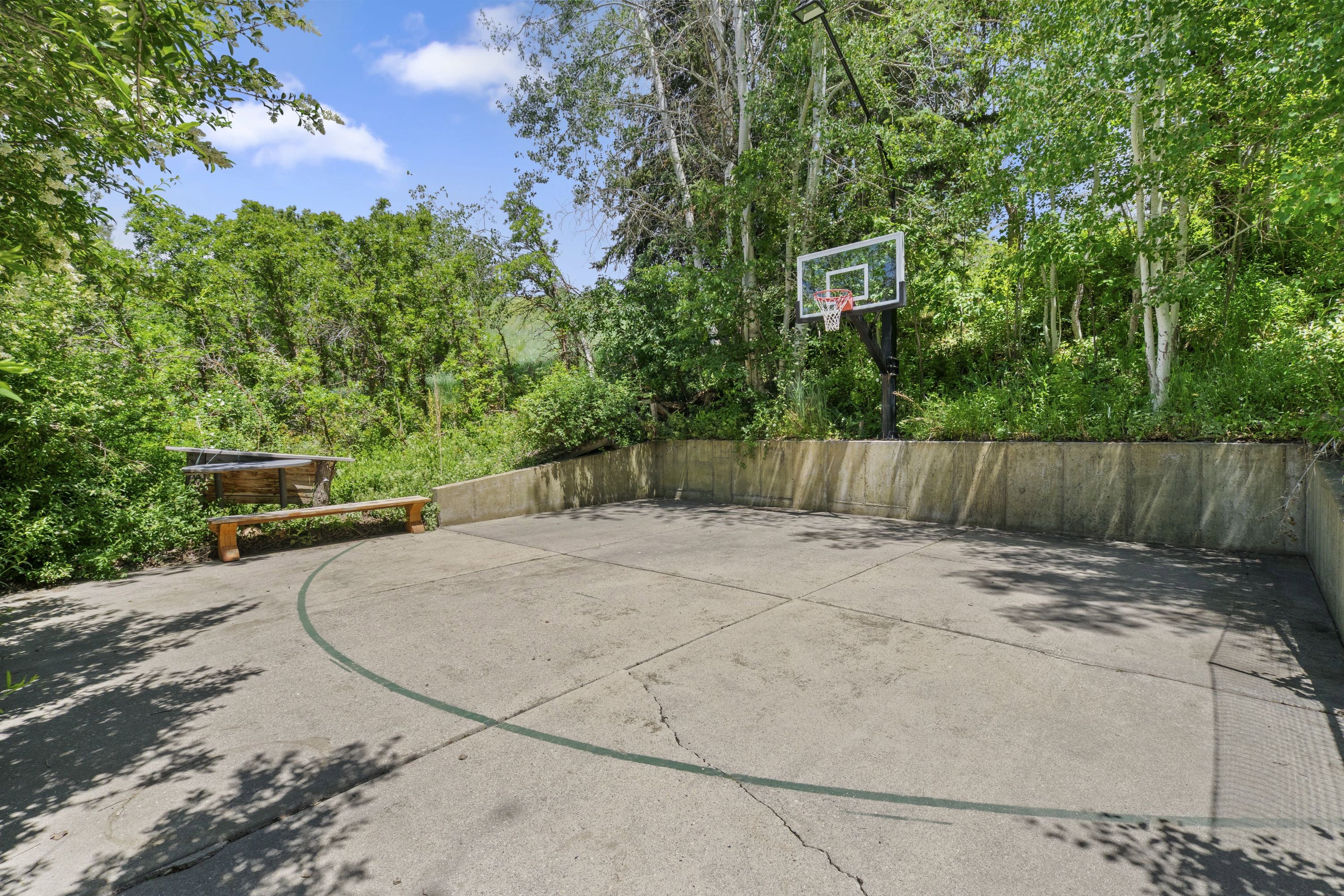 Concrete sport court with a basketball hoop, surrounded by mature trees and natural landscaping