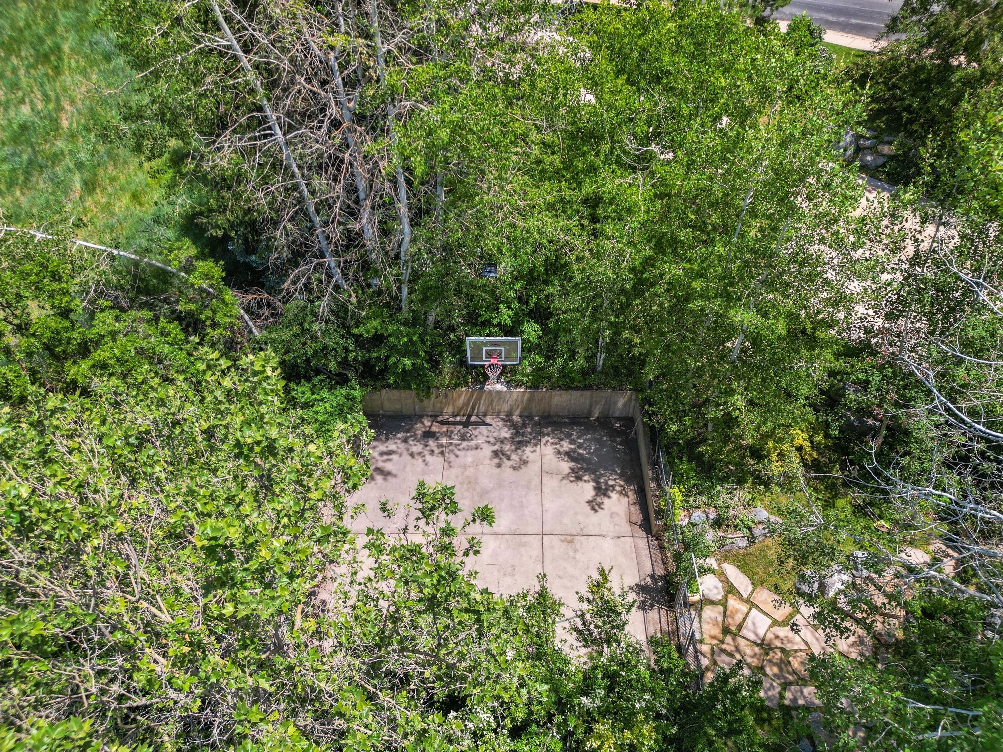Paved sports court with an attached basketball hoop, surrounded by mature trees