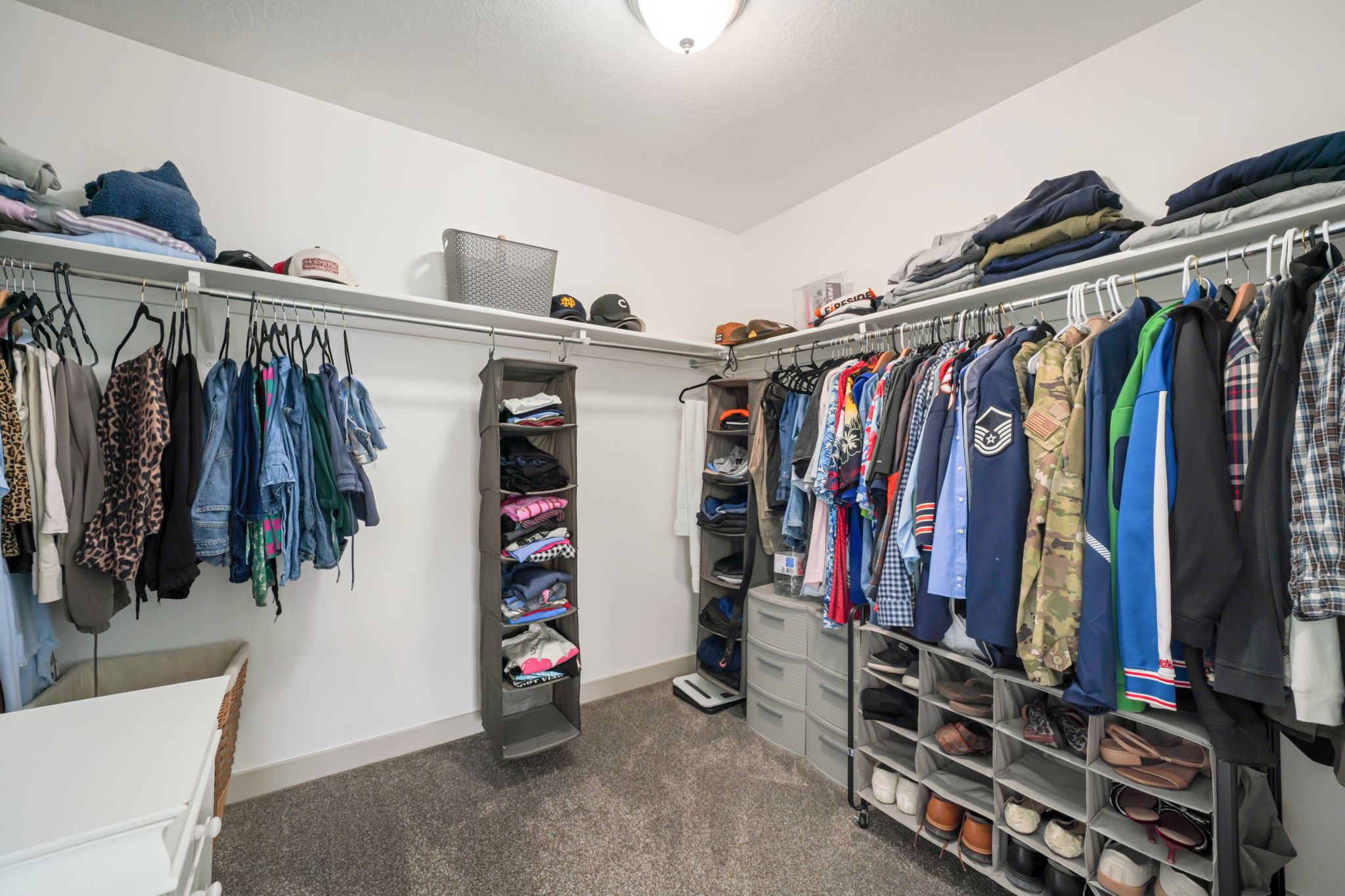 Spacious walk-in closet featuring white walls, overhead lighting, and carpet flooring