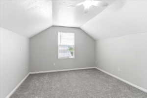 Bonus family or recreation room