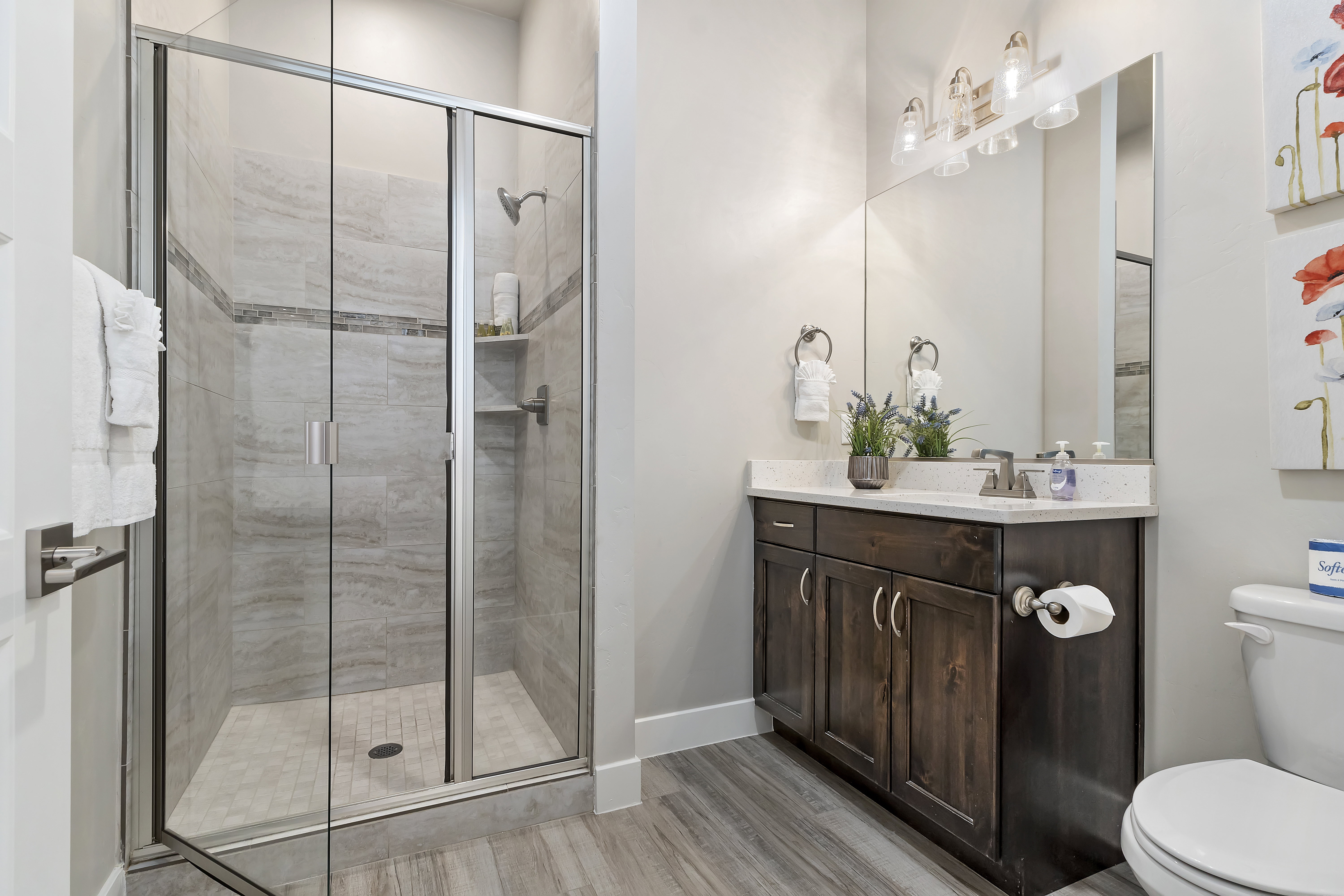 Full bathroom featuring a glass-enclosed shower with tile surround and an integrated niche, a dark wood-finish vanity with a light-toned countertop, a rectangular mirror, and wood-finish flooring