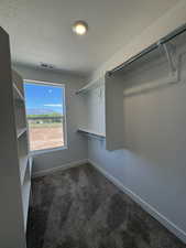 Walk-in closet featuring built-in shelving, hanging rods, and a window for natural light