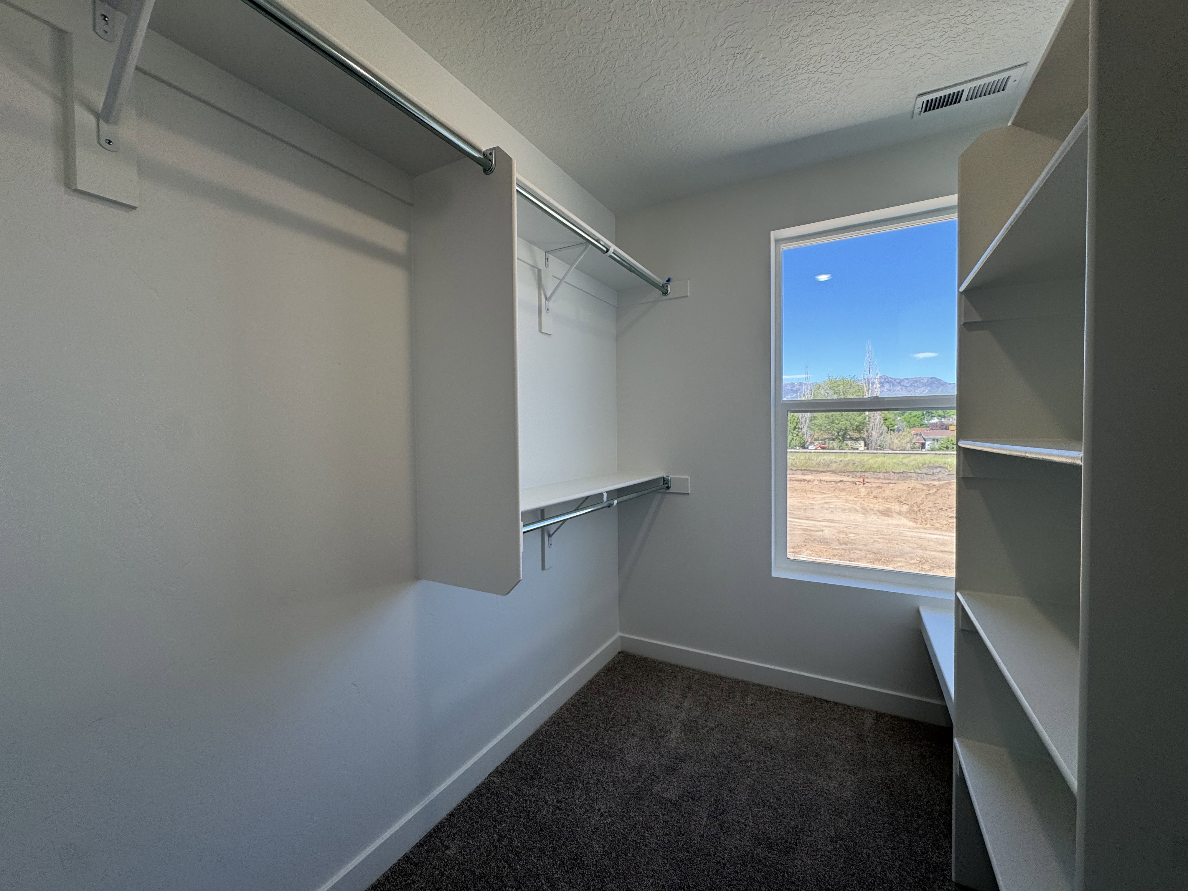 Walk-in closet with built-in shelving, hanging rods, an exterior window, and dark carpet