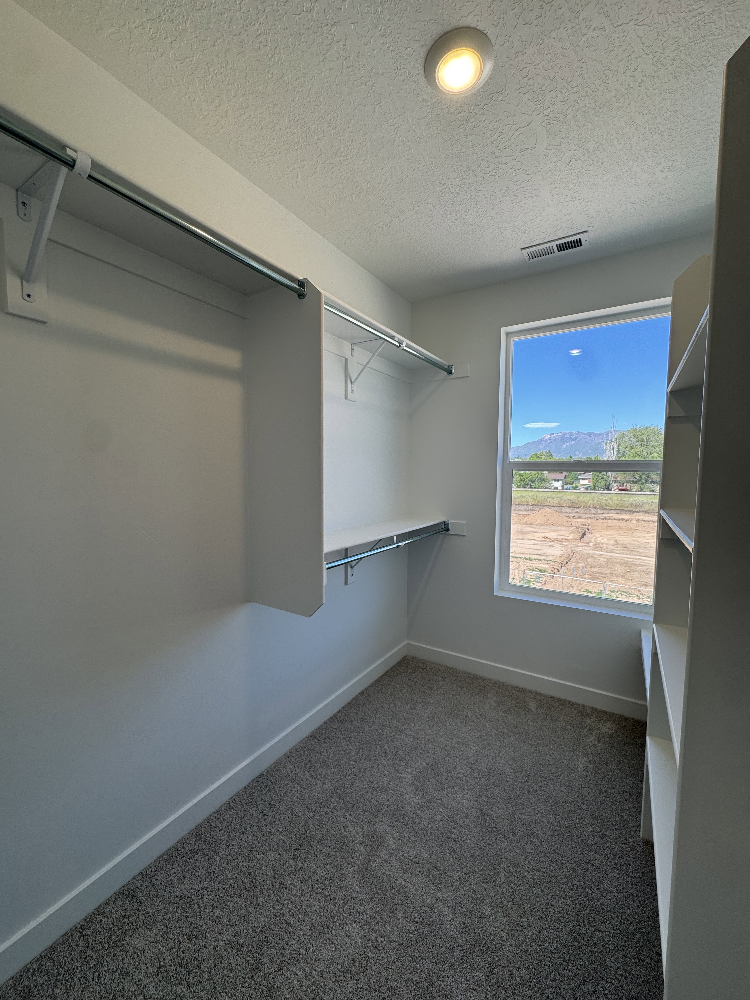 Walk-in closet with carpet flooring, a single window, and built-in shelving and hanging rods