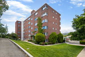 Brick exterior apartment building featuring multiple windows, green landscaping, and mature trees