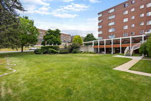 Expansive green lawn with a stone pathway