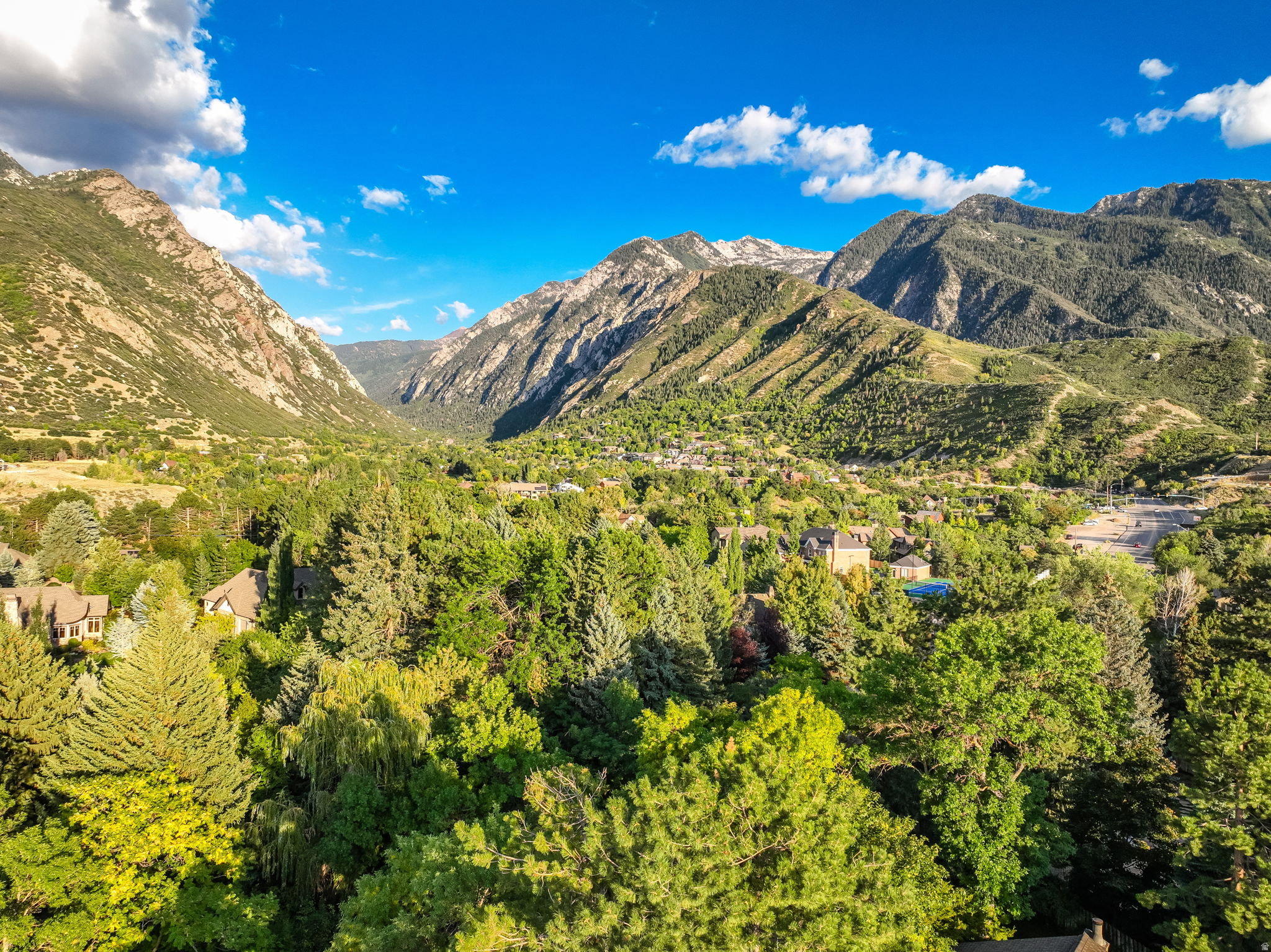 Expansive valley setting with dense tree cover and distant mountain ranges