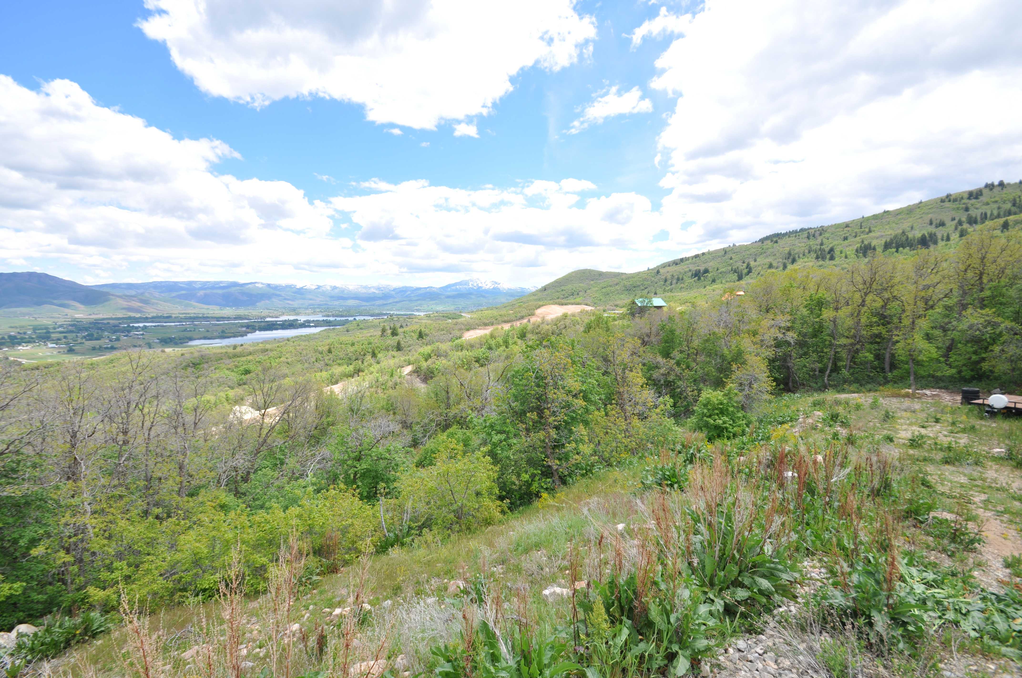 Expansive hillside property featuring diverse foliage and a distant body of water