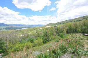 Expansive hillside property featuring diverse foliage and a distant body of water