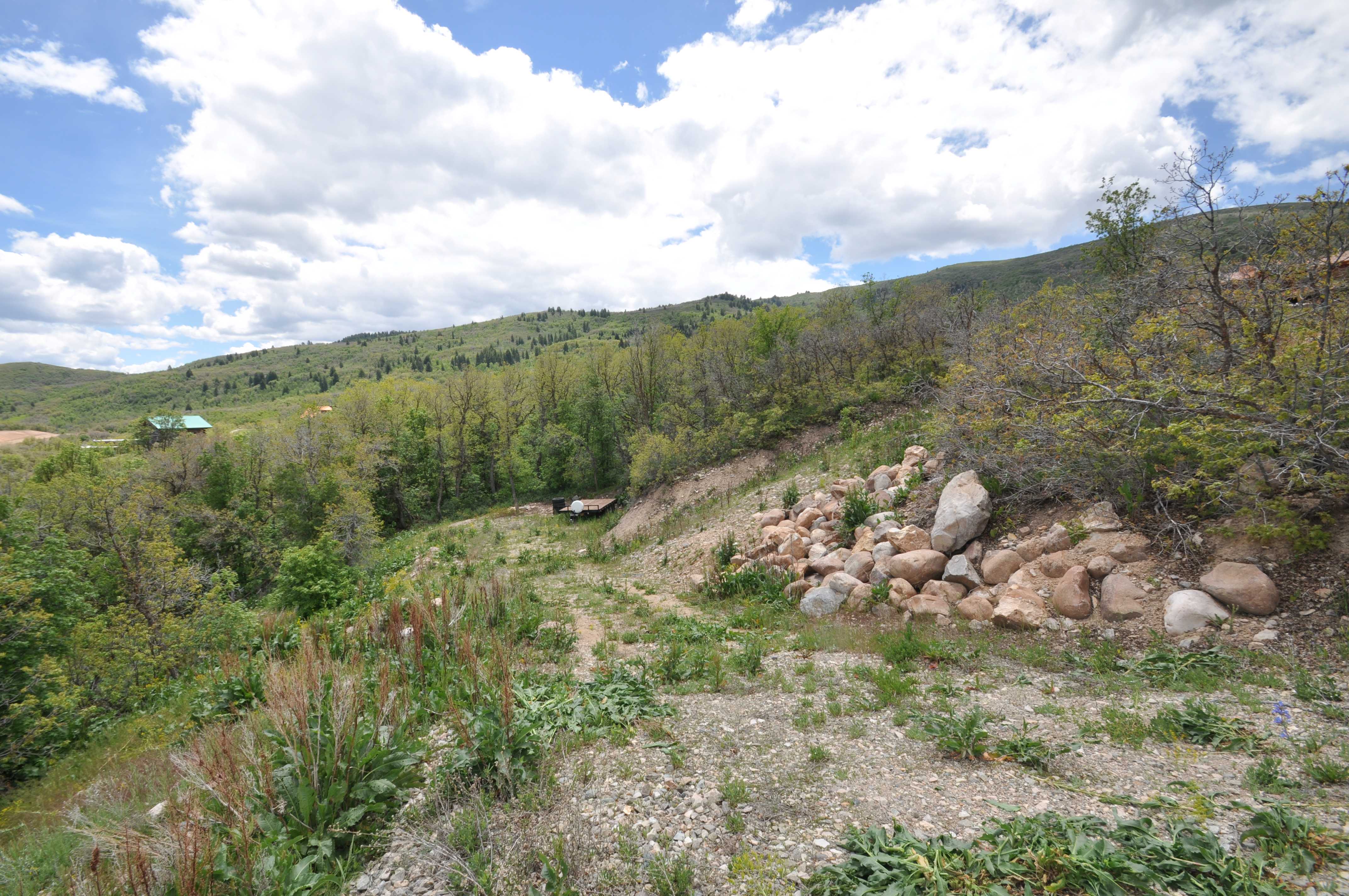 Expansive hillside property featuring diverse vegetation, natural rock formations, and distant green hills