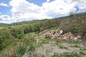Expansive hillside property featuring diverse vegetation, natural rock formations, and distant green hills