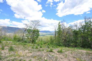 Expansive undeveloped parcel featuring mature trees, natural vegetation, and distant mountain scenery