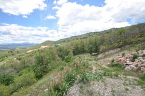 Expansive sloped terrain featuring natural vegetation, a distant body of water, and a mountainous backdrop