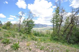 Sloping terrain with natural vegetation, featuring deciduous trees and distant mountain ranges