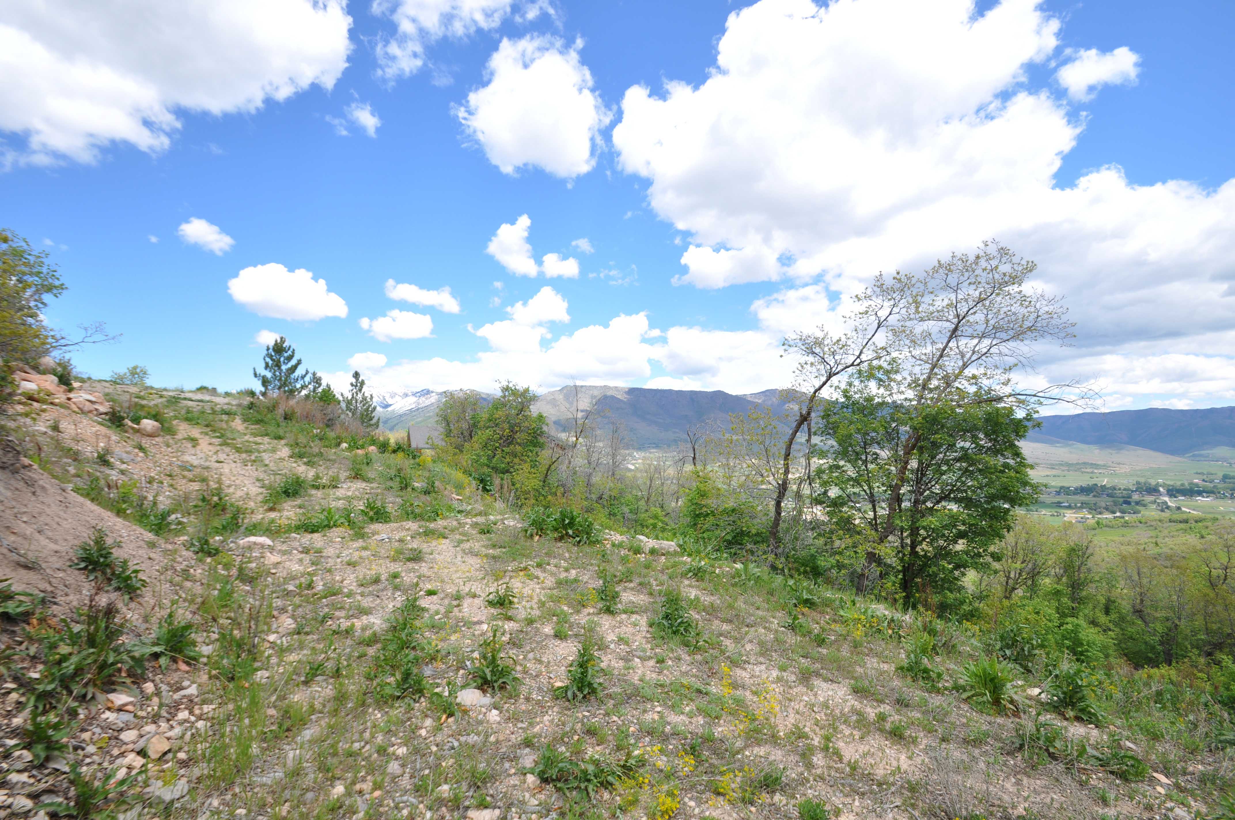 Sloped lot featuring partial tree coverage and a distant mountain backdrop
