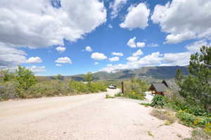 Gravel driveway with surrounding natural foliage