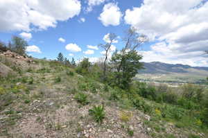 Expansive undeveloped land featuring natural foliage and a distant mountain backdrop