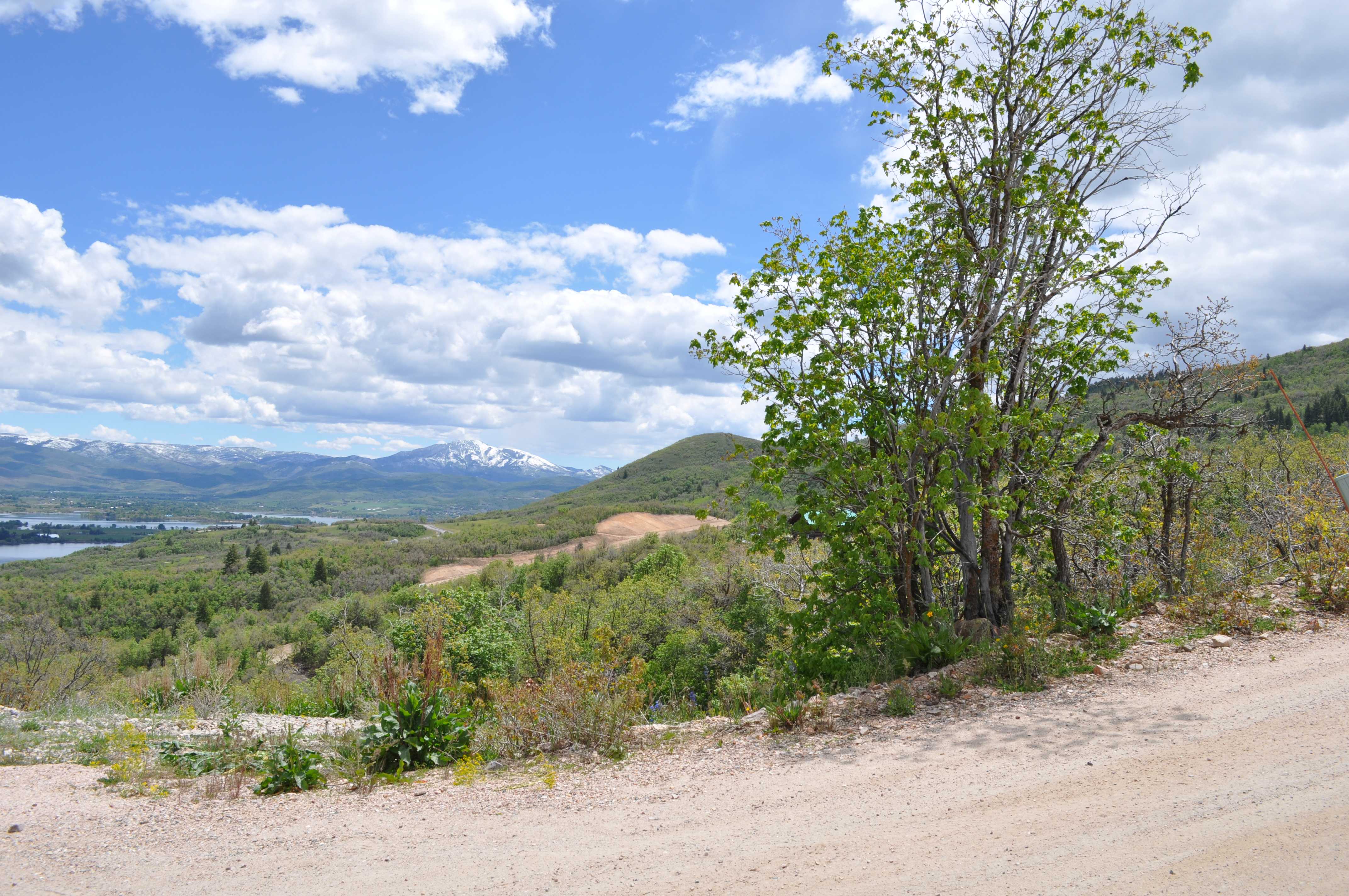 Expansive natural landscape featuring distant snow-capped mountains, a large body of water, and verdant forested hillsides under a blue sky with clouds