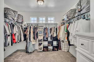 Spacious walk-in closet featuring light gray carpeting, multiple clothing rods, and white built-in shelving