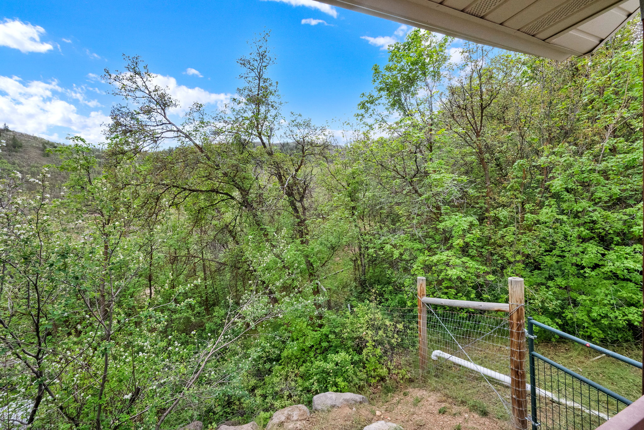 Expansive natural landscape featuring lush green foliage, mature trees, a clear blue sky, and a partial view of a mountain