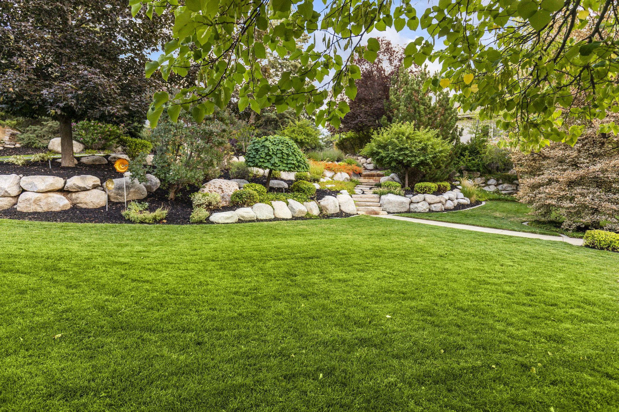 View of green lawn