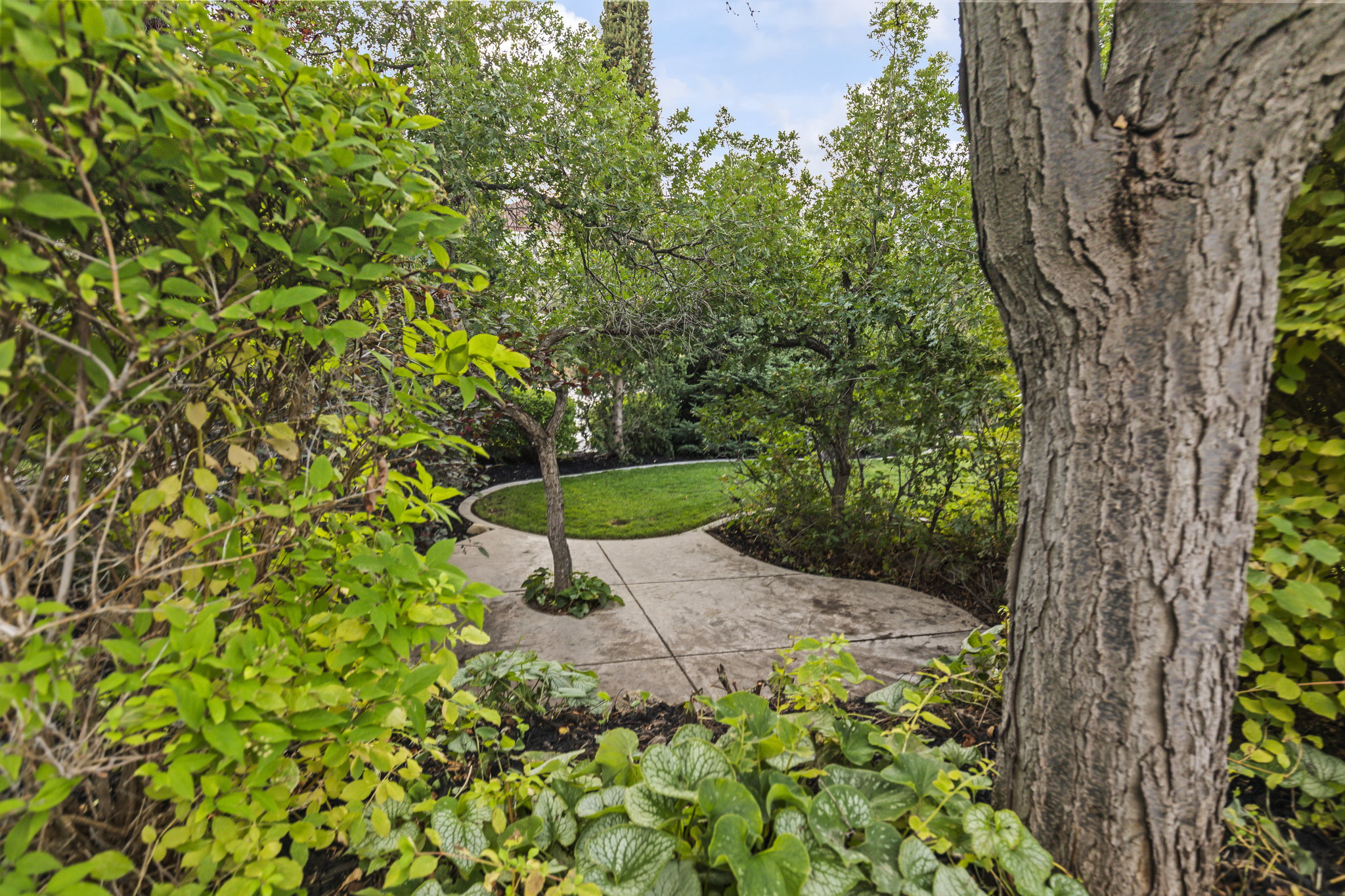 View of green lawn