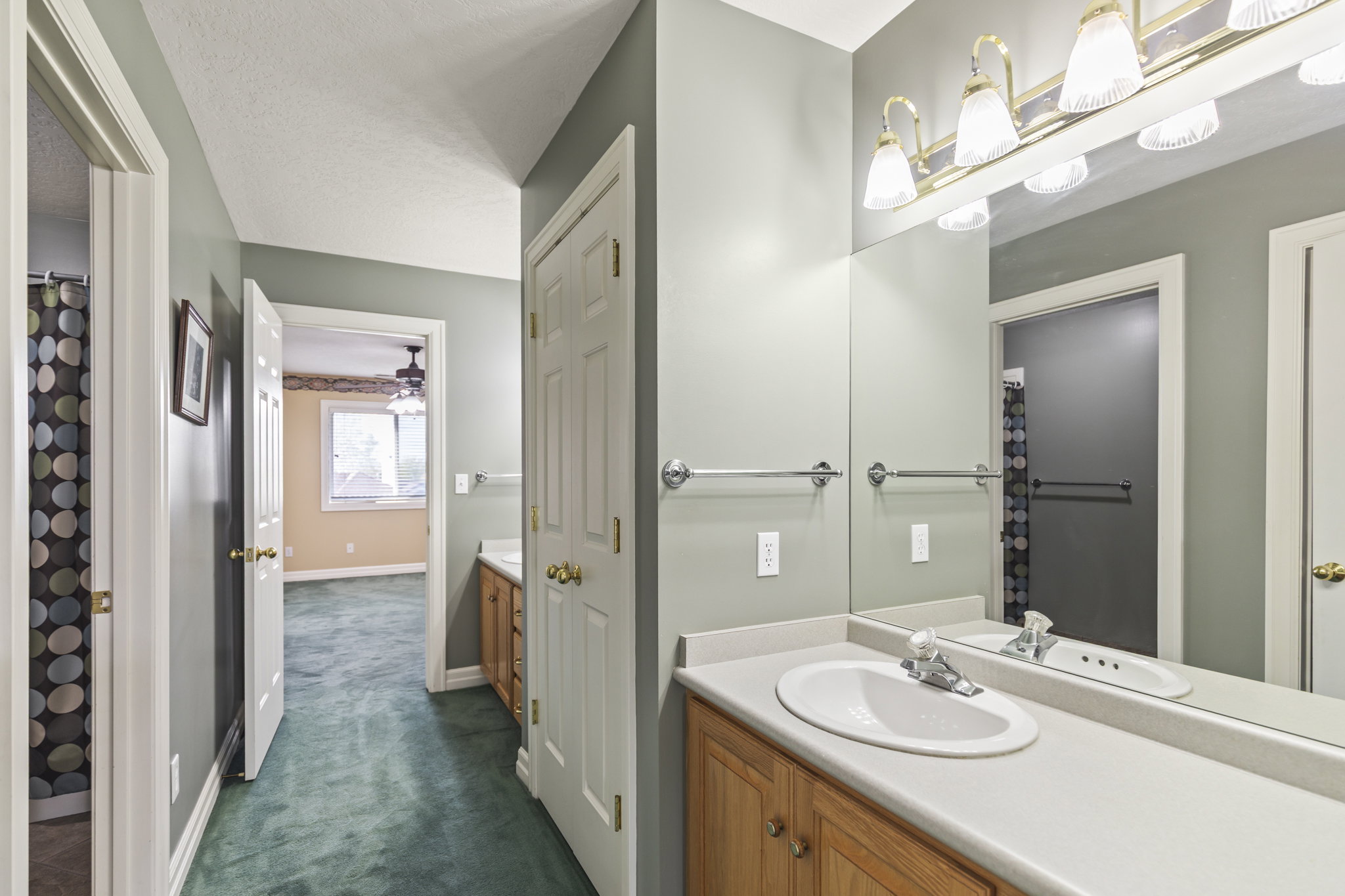 Bathroom with vanity, dark carpet, and a shower with curtain