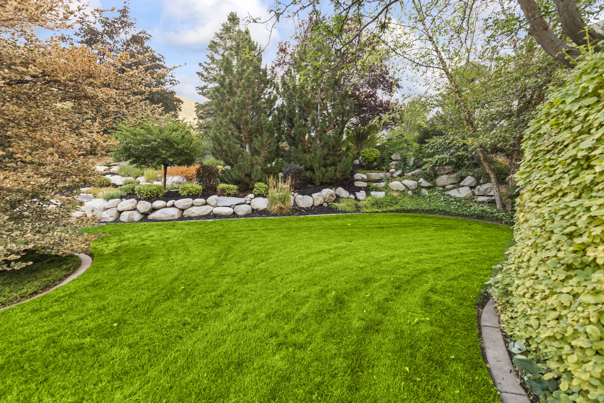 View of grassy yard