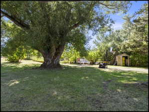 Spacious backyard with mature tree, lush green lawn, and a storage shed