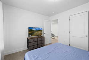 Neutral-toned carpeted flooring complements white walls and trim