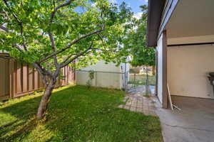 Expansive grass yard with mature tree, bordered by a privacy fence and chain-link fencing