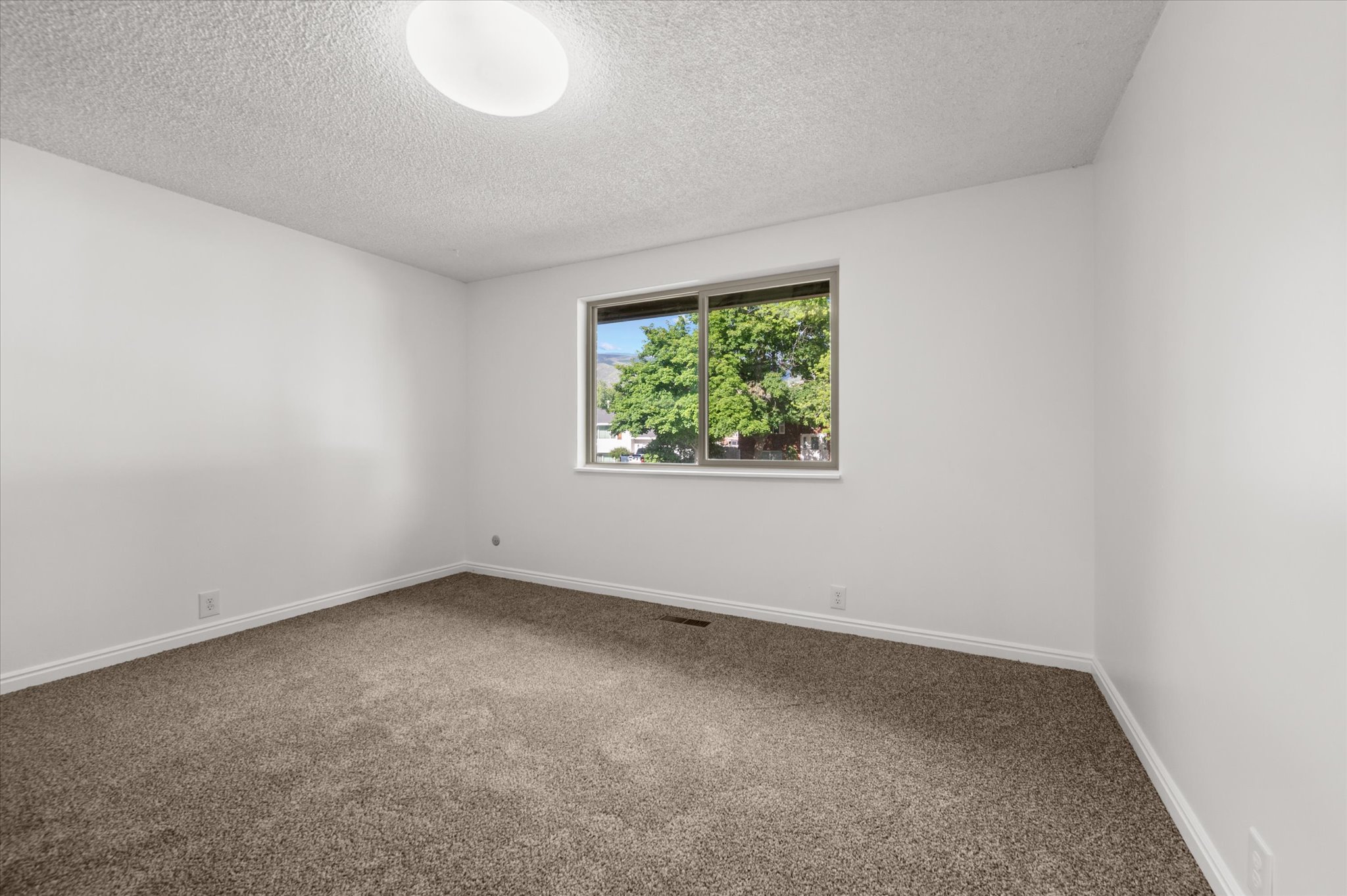 Neutral-toned carpeted room featuring a white ceiling and walls