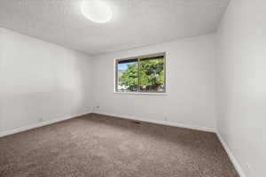 Neutral-toned carpeted room featuring a white ceiling and walls