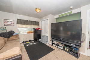 Carpeted room featuring a ceiling-mounted light fixture, a window with blinds, and a white interior door