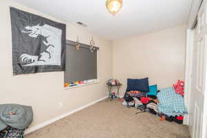 Carpeted interior space featuring a window with a roller shade, a ceiling-mounted light fixture, and a bi-fold closet door