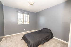 Carpeted room featuring neutral gray walls, a grid-paned window, and a ceiling-mounted light fixture
