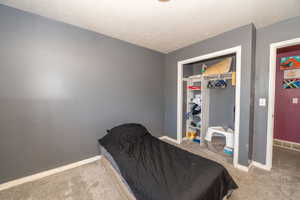 Carpeted room featuring a built-in closet with shelving and hanging rod