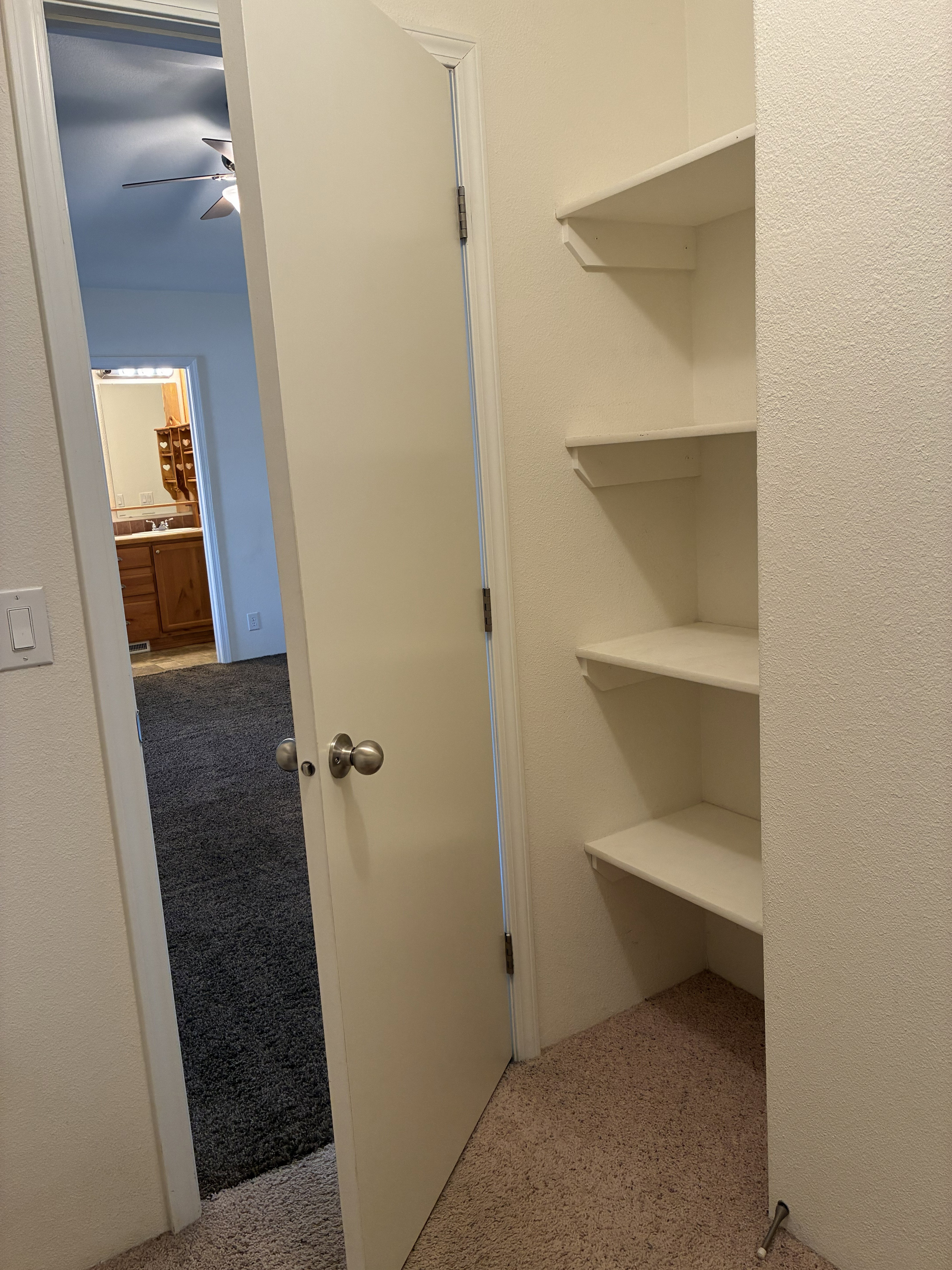 Built-in shelving for storage in the walk-in closet