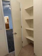 Built-in shelving for storage in the walk-in closet